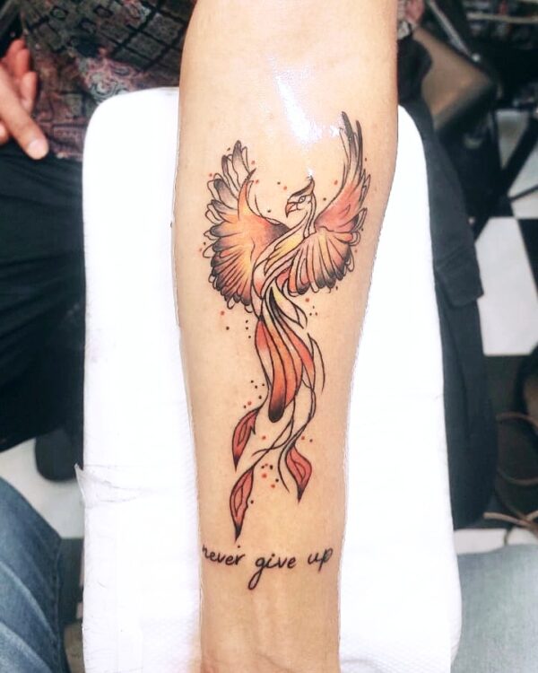 Phoenix Bird Tattoo Designs- Bob Tattoo Studio